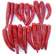 hot sale Frozen IQF red chilli whole and cut